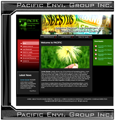 Pacific_Envi._Group_Inc..jpg